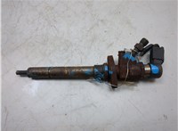 9657144580 Форсунка топливная Ford Focus 2 2008-2011 9255899 #1