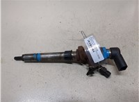 9657144580 Форсунка топливная Ford Focus 2 2008-2011 9255902 #1