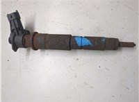 0445115007 Форсунка топливная Opel Vivaro 2001-2014 9255950 #1