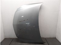 1160013, 13276949, 13248744, 20970122 Капот Opel Insignia 2008-2013 9257418 #1