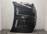 41617008328, 7008328 Капот BMW X5 E53 2000-2007 9260407 #1