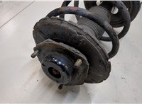 54303CB025, 54010CA102 Амортизатор подвески Nissan Murano 2002-2008 9260532 #2