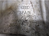 8E0407722 Пыльник полуоси Audi A4 (B6) 2000-2004 9265761 #3