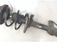 54302EQ000 Амортизатор подвески Nissan X-Trail (T30) 2001-2006 9266726 #6