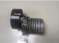 030145299F Натяжитель приводного ремня Seat Arosa 2001-2004 9268852 #1