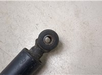 A2103202730 Амортизатор подвески Mercedes E W210 1995-2002 9272478 #5
