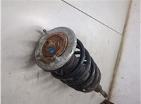 3B0413031P, 8D0411105AP, 8D0412065F Амортизатор подвески Volkswagen Passat 5 2000-2005 9272819 #6