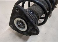 1619269, 3M5118045CCM, 1348873, 1348878, 1348879 Амортизатор подвески Ford Focus 2 2005-2008 9272825 #2