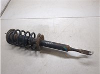 3B0413031P, 8D0411105AP, 8D0412065F Амортизатор подвески Volkswagen Passat 5 2000-2005 9272924 #4