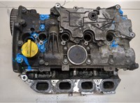  Головка блока (ГБЦ) Renault Scenic 2003-2009 9275285 #1