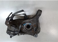 1K0407621F, 3C0407254F Ступица (кулак, цапфа) Volkswagen Passat 6 2005-2010 9278222 #4