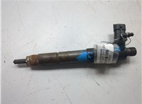 0445116043 Форсунка топливная Jaguar XF 2007-2015 9280263 #1