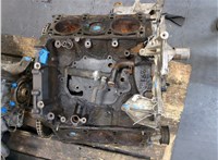 059103011BL Блок цилиндров (Шорт блок) Volkswagen Touareg 2007-2010 9282496 #13