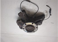 A9063303420, A9069050601 Ступица (кулак, цапфа) Mercedes Sprinter 2006-2018 9297546 #5