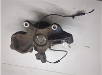 A9063303420, A9069050601 Ступица (кулак, цапфа) Mercedes Sprinter 2006-2018 9297546 #6