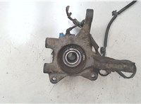  Ступица (кулак, цапфа) Hyundai Tucson 1 2004-2009 9298044 #3