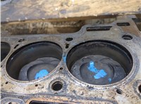 1829184, 1917569 Блок цилиндров (Шорт блок) Ford C-Max 2010-2015 9298463 #6