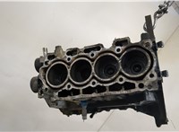  Блок цилиндров (Шорт блок) Ford Fusion 2002-2012 9298538 #9