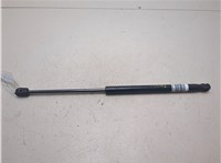 82205784 Амортизатор капота Renault T 2013- 9305587 #3