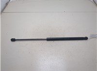82205784 Амортизатор капота Renault T 2013- 9305592 #3