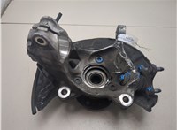 5Q0407621F, 5Q0407254A, 5Q0615312F Ступица (кулак, цапфа) Volkswagen Jetta 7 2018- 9305824 #4