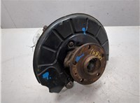 1K0407621F, 1K0407256AA Ступица (кулак, цапфа) Volkswagen Tiguan 2007-2011 9305917 #5