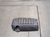  Накладка декоративная на ДВС Buick Enclave 2007-2013 9312798 #1