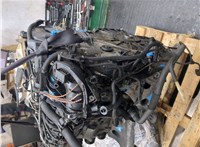 11002146544, 11002146543 Двигатель (ДВС) BMW 5 E60 2003-2009 9314074 #8