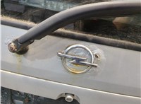  Крышка (дверь) багажника Opel Zafira A 1999-2005 9315384 #8