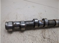 11317576161, 11317576160 Распредвал BMW 5 F07 Gran Turismo 2010-2017 9316000 #5