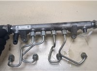  Рампа (рейка) топливная Volkswagen Passat 6 2005-2010 9319113 #4