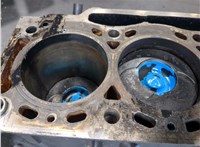  Блок цилиндров (Шорт блок) Renault Megane 1996-2002 9324265 #8