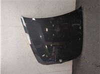 41617273439, 7273439, 41617486754, 7486754 Капот BMW X6 E71 2007-2014 9337468 #10
