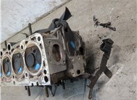 06B103351F, 06B103265EX Головка блока (ГБЦ) Seat Leon 1999-2006 9355573 #9