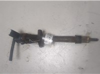 9653344880 Форсунка топливная Citroen C8 2002-2008 9366877 #1