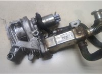  Клапан рециркуляции газов (EGR) Renault Scenic 2003-2009 9368597 #1