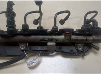  Рампа (рейка) топливная Renault Scenic 2003-2009 9368607 #1