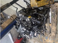 5Q0820803D Компрессор кондиционера Skoda Octavia (A7) 2013-2017 11300728 #11