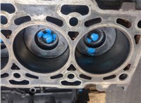  Блок цилиндров (Шорт блок) Hyundai Santa Fe 2005-2012 9370907 #9