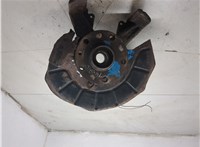 1T0498621, 1K0407255P Ступица (кулак, цапфа) Volkswagen Golf 6 2009-2012 9374047 #7