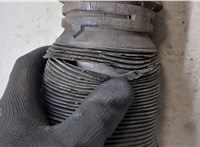 A2203202438, A2203309007 Амортизатор подвески Mercedes S W220 1998-2005 9386909 #7