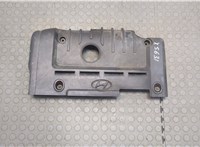  Накладка декоративная на ДВС Hyundai Matrix 9390837 #1