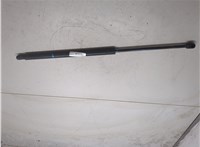 15766375 Амортизатор крышки багажника Chevrolet Tahoe 1999-2006 9395374 #3