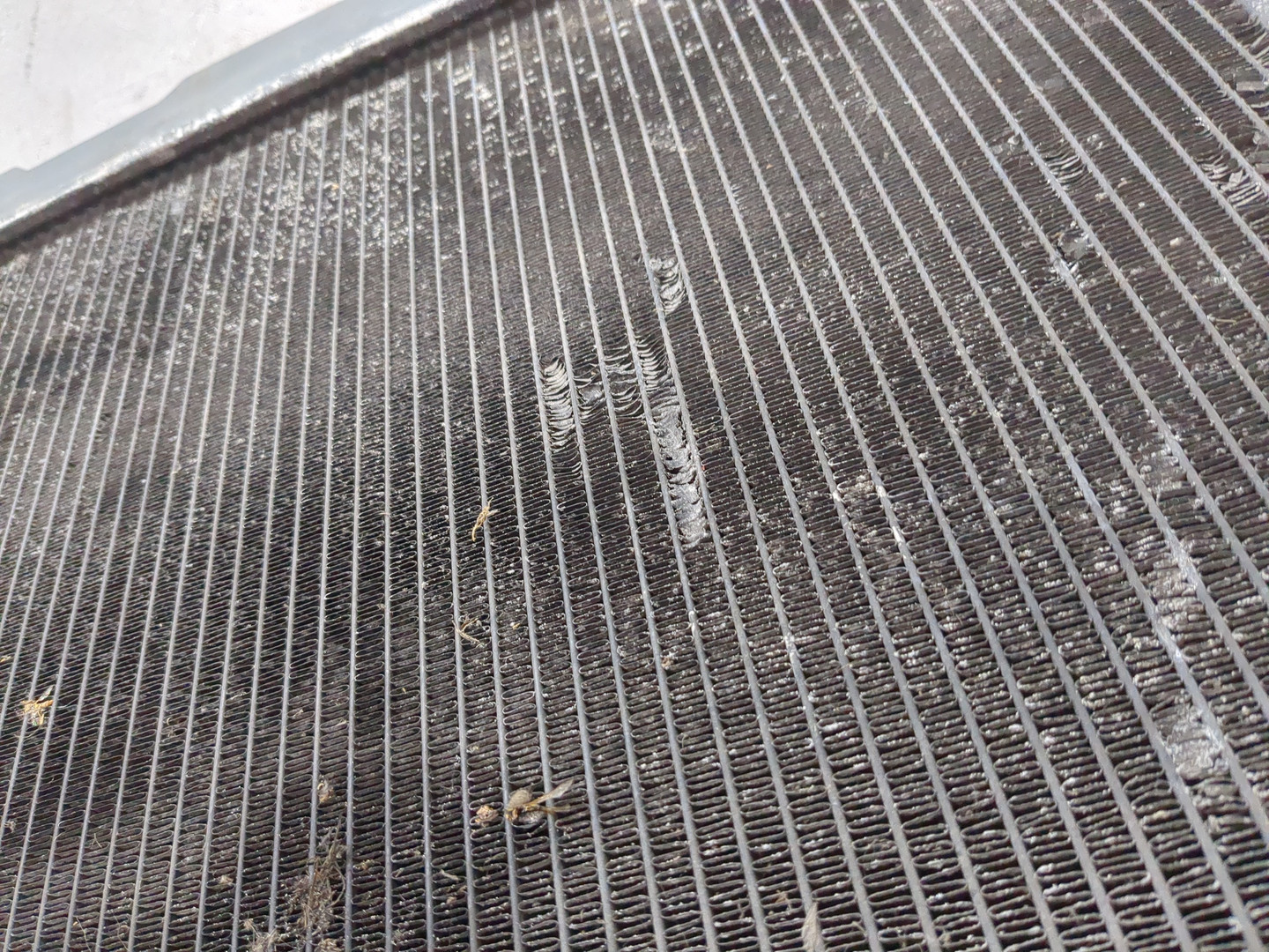 Радиатор охлаждения двигателя основной