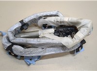  Подушка безопасности боковая (шторка) Volkswagen Passat 6 2005-2010 9422602 #4