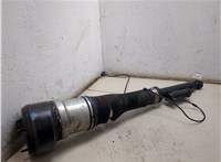 A2213205513 Амортизатор подвески Mercedes S W221 2005-2013 9422977 #10