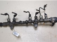  Рампа (рейка) топливная Opel Corsa D 2006-2011 9426623 #1