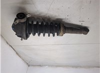 7L6513029N, 7L6511115F Амортизатор подвески Volkswagen Touareg 2007-2010 9429276 #7