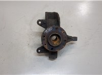  Ступица (кулак, цапфа) Renault Scenic 2003-2009 9431899 #1