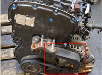 1738621, 6C1Q6019AC, 1782654, CC1Q10317BC Защита (кожух) ремня ГРМ Ford Transit 2006-2014 11675441 #3